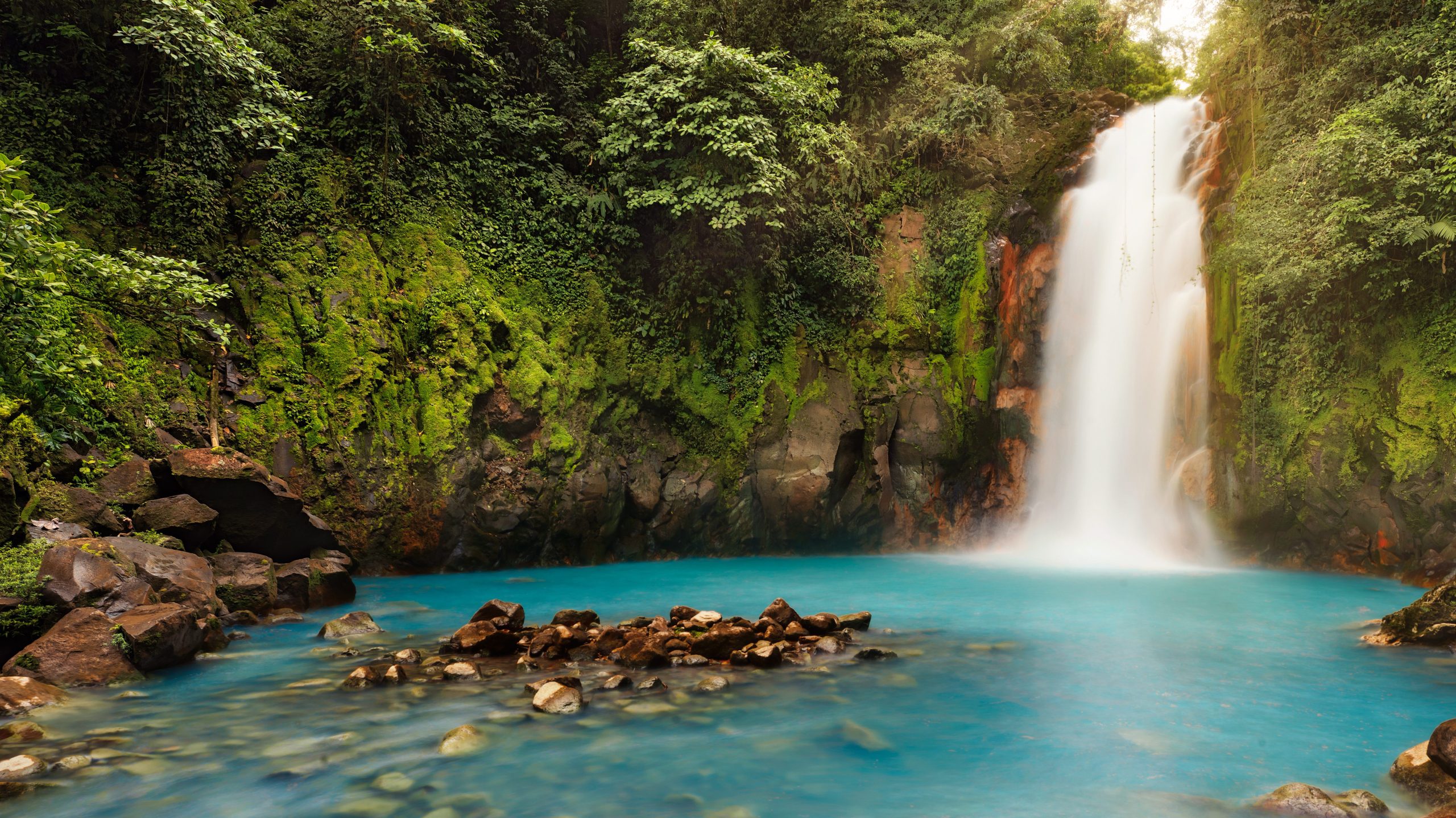 Happy students learning together